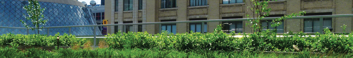 Build Toronto Green Roof, green roof toronto