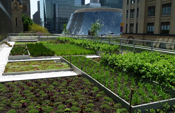 Sustainability in toronto, city development toronto, Build Toronto